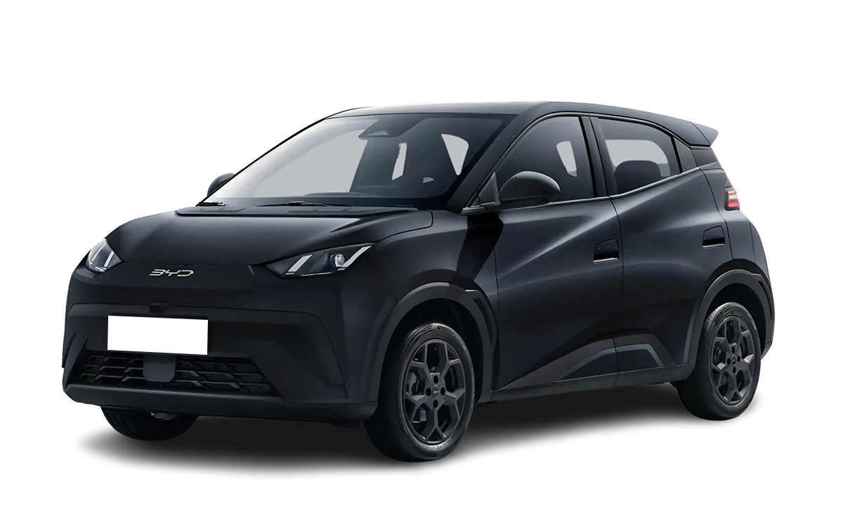 BYD DOLPHIN SURF